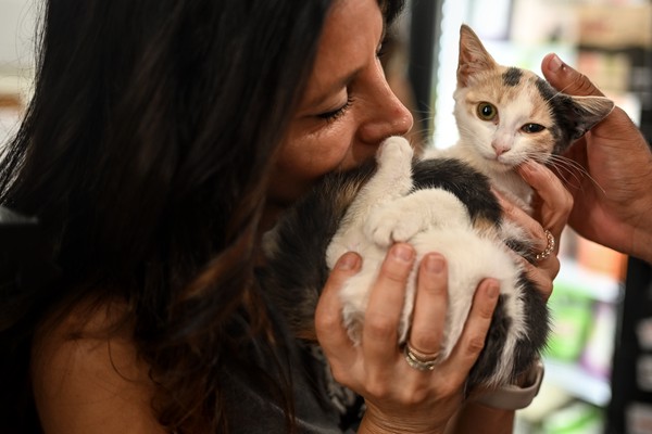 Tiny Tigers July Adoption Event